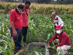 Jambangan Air Diduga Benda Purbakala Ditemukan di Persawahan Kota Blitar Jambangan Air Diduga Benda Purbakala Ditemukan di Persawahan Kota Blitar