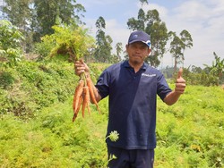 Pertamina Suntik Modal Rp 5,5 M ke 38 Petani di Bandung