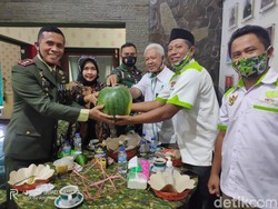 TNI di Jember Dikado Petani Semangka Seberat 7 Kg, Apa Maknanya?