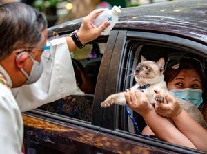 Potret Pemberkatan Hewan Peliharaan Peringati Hari Hewan Sedunia