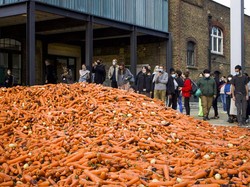 Atas Nama Seni, Mahasiswa Ini Buang 31 Ton Wortel di Halaman Kampus