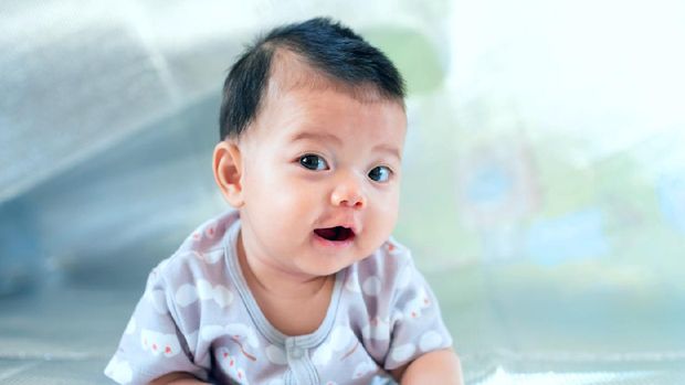 Southeast Asian new born is creeping on the floor. Newborn is wearing gray shirt. Baby is South East Asian. Kid is cute. Child is taking photo indoor. Infant is 4 months. - People, Health care concept