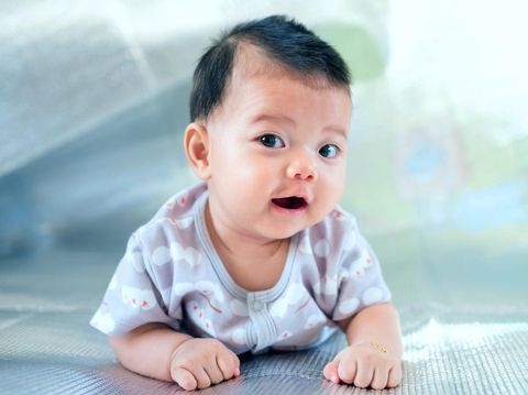Southeast Asian new born is creeping on the floor. Newborn is wearing gray shirt. Baby is South East Asian. Kid is cute. Child is taking photo indoor. Infant is 4 months. - People, Health care concept