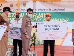 Angkat Kesejahteraan Petani, BNI Rilis Kartu Petani Berjaya