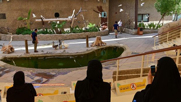 People attend a show on birds at the Dubai Safari Park on October 4, 2020, in the United Arab Emirates. - Dubai's Safari Park reopened its doors after a two-year expansion, as the emirate seeks to boost its hard-hit tourism sector amid the coronavirus pandemic. The 119-hectare (294-acre) attraction, which is built on the site of a former waste dump, first opened its gates to the public in December 2017, but abruptly closed five months later for 