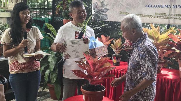 Pak Greg bersama putri dan Pak Hari Setiawan (orang yang pernah memenangkan lelang Harlequin pada harga Rp 660 juta rupiah). Foto diambil pd waktu ulang tahun Pak Greg yg ke-71 pd bulan Februari 2020