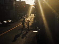 Misteri Gelombang Panas Mematikan di Benua Amerika, Ini Jawabannya