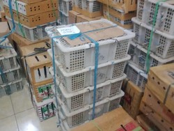 Hendak Diselundupkan ke Jogja Pakai Mobil RM Minang, Ribuan Burung Disita