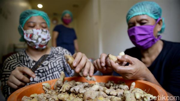 Olahan Jahe dari Tangerang Ini Tembus ke Jepang hingga Inggris Lho