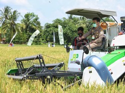 Mentan Puji Lampung Jadi Penghasil Padi Tertinggi ke-6 di Indonesia