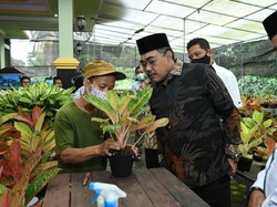 Wakil Ketua MPR: Bangsa Ini Punya Potensi Besar untuk Ekspor Aglaonema