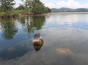 Potret Benda-Benda Purbakala yang Muncul di Danau Sentani Saat Surut