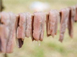 Iyuuh! Ini 5 Makanan yang Baunya Paling Busuk di Dunia