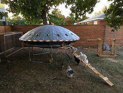 Keren! Kandang Ayam Ini Dibuat Mirip UFO yang Viral di Internet