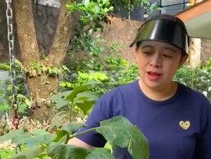 Puan Maharani Hobi Berkebun, Panen Sawi hingga Cabai di Halaman