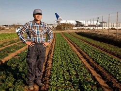 Kisah Petani yang Tinggal di Tengah Bandara Narita Jepang