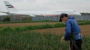 Nggak Bahaya Ta? Petani dan Sawahnya di Tengah Bandara Narita Jepang