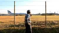 Potret Sawah Semata Wayang di Tengah Bandara Narita