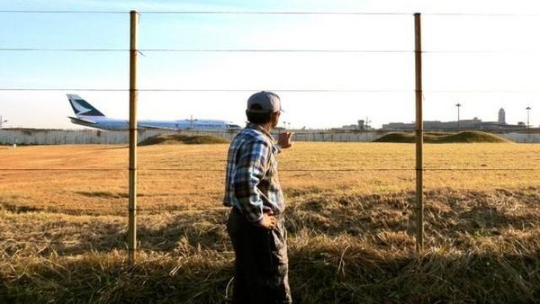 Potret Sawah Semata Wayang di Tengah Bandara Narita
