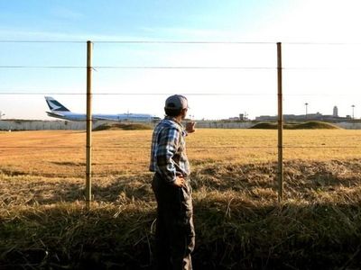 Potret Sawah Semata Wayang di Tengah Bandara Narita