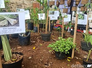 Ingin Imun Tubuh Kuat Biar Tak Kena COVID-19? Ikuti Cara RSI Banjarnegara