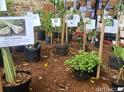 Ingin Imun Tubuh Kuat Biar Tak Kena COVID-19? Ikuti Cara RSI Banjarnegara