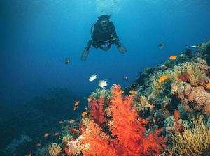 Turis ke Arab Saudi Tembus 100 Juta Orang, PBB Ikut Ucapkan Selamat