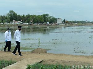 Jokowi Bagi-bagi BLT di Kalteng, Minta Usaha Mikro Tak Tutup