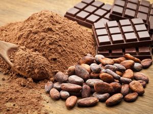 Keren! Pasuruan Kini Punya Pusat Penelitian Kakao Canggih Keren! Pasuruan Kini Punya Pusat Penelitian Kakao Canggih