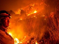 Suhu di September 2020 Terhangat dalam Catatan di Seluruh Dunia