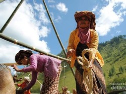 Mengenal Bahasa Gayo yang Akan Direvitalisasi, Berkerabat dengan Bahasa Aceh