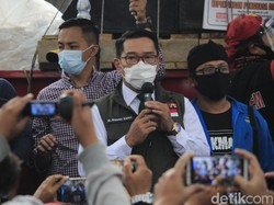 Ridwan Kamil Rapat Virtual dengan Luhut, Bahas Apa?