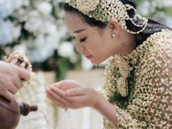 Ciri-ciri Bunga Melati Puspa Bangsa, Bentuk, Warna, dan Aroma