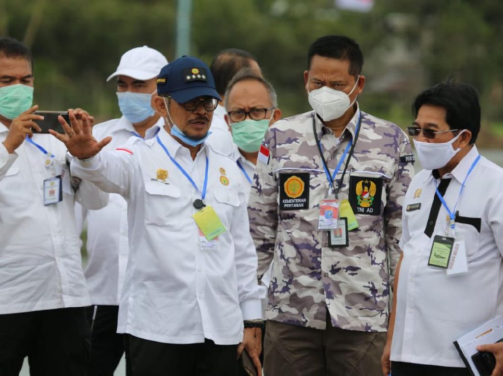 Proyek Lumbung Pangan di Kalteng Bakal Terapkan Teknologi Modern Proyek Lumbung Pangan di Kalteng Bakal Terapkan Teknologi Modern