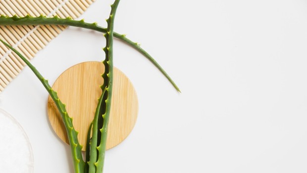 gel lidah buaya yang dicampur gula merah dan extra virgin oil olive dapat digunakan sebagai scrub alami untuk merawat wajah