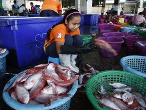 Masih Pekerjakan Anak, Industri Seafood Thailand Kembali Dikritik