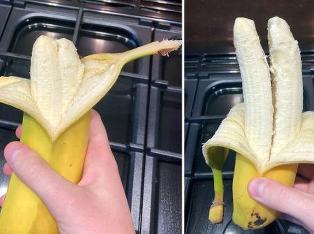 Berbuah Gantet dan Bertandan Seribu, 5 Fenomena Langka Pohon Pisang Unik Berbuah Gantet dan Bertandan Seribu, 5 Fenomena Langka Pohon Pisang Unik