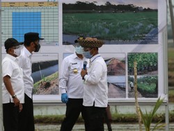Drone Bakal Wira-wiri Tebar Pupuk di Lahan Lumbung Pangan