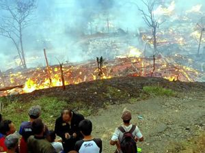 Sedih! Kampung Adat Cengkuk Ludes Terbakar Sedih! Kampung Adat Cengkuk Ludes Terbakar