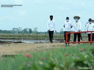 Tagar #Bebek dan #Itik Trending, Ini yang Dikunjungi Jokowi di Kalimantan