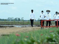 Tagar #Bebek dan #Itik Trending, Ini yang Dikunjungi Jokowi di Kalimantan