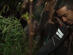 2 Hektare Ladang Ganja di Kebun Kopi Jambi Digerebek, 2 Orang Ditangkap