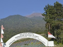Pendaki Ini Jatuh ke Jurang Gunung Slamet, Korban Tak Sadarkan Diri