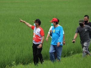 Kunjungi Sawah Abadi, Mentan Dorong Urban Farming di Jakarta