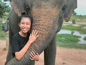 Simak Bincang detikTravel bareng Fotografer Alam Liar Regina di Sini Simak Bincang detikTravel bareng Fotografer Alam Liar Regina di Sini