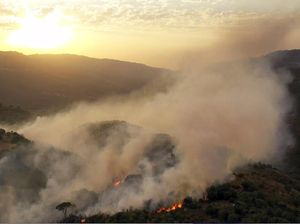 3 Orang Tewas Imbas Kebakaran Hutan di Perbatasan Lebanon