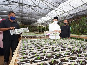 Cerita Sukses Pengusaha Travel Banting Setir Budidaya Anggrek di Masa Pandemi