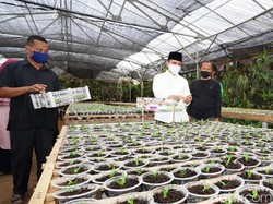Cerita Sukses Pengusaha Travel Banting Setir Budidaya Anggrek di Masa Pandemi