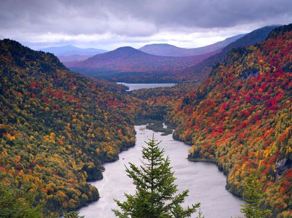 Cantiknya Pemandangan Musim Gugur di Lereng Gunung AS