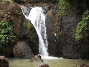 Tentang Sumber Daya Alam yang Dapat Diperbarui dan Contohnya Tentang Sumber Daya Alam yang Dapat Diperbarui dan Contohnya